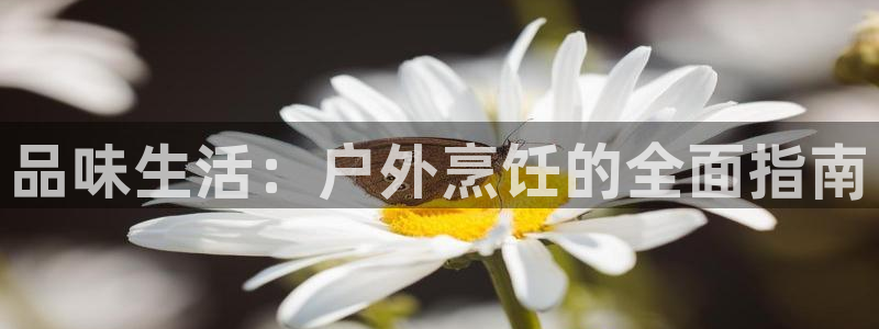 新宝GG冰冰