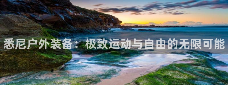 新宝gg主管都是谁