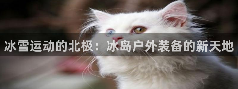 新宝gg游戏