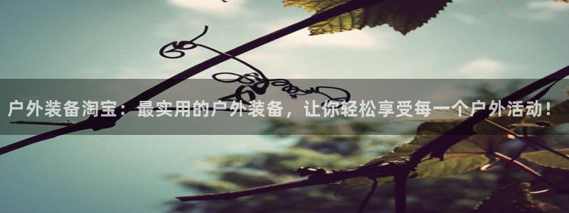 新宝gg登陆