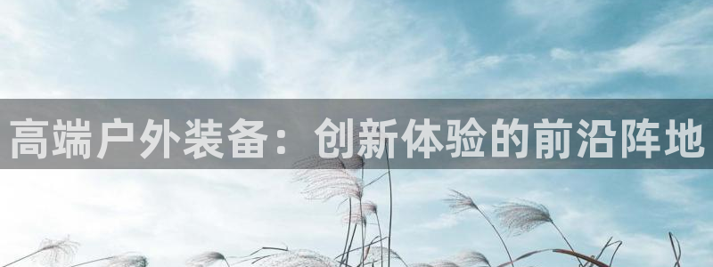 新宝gg博客